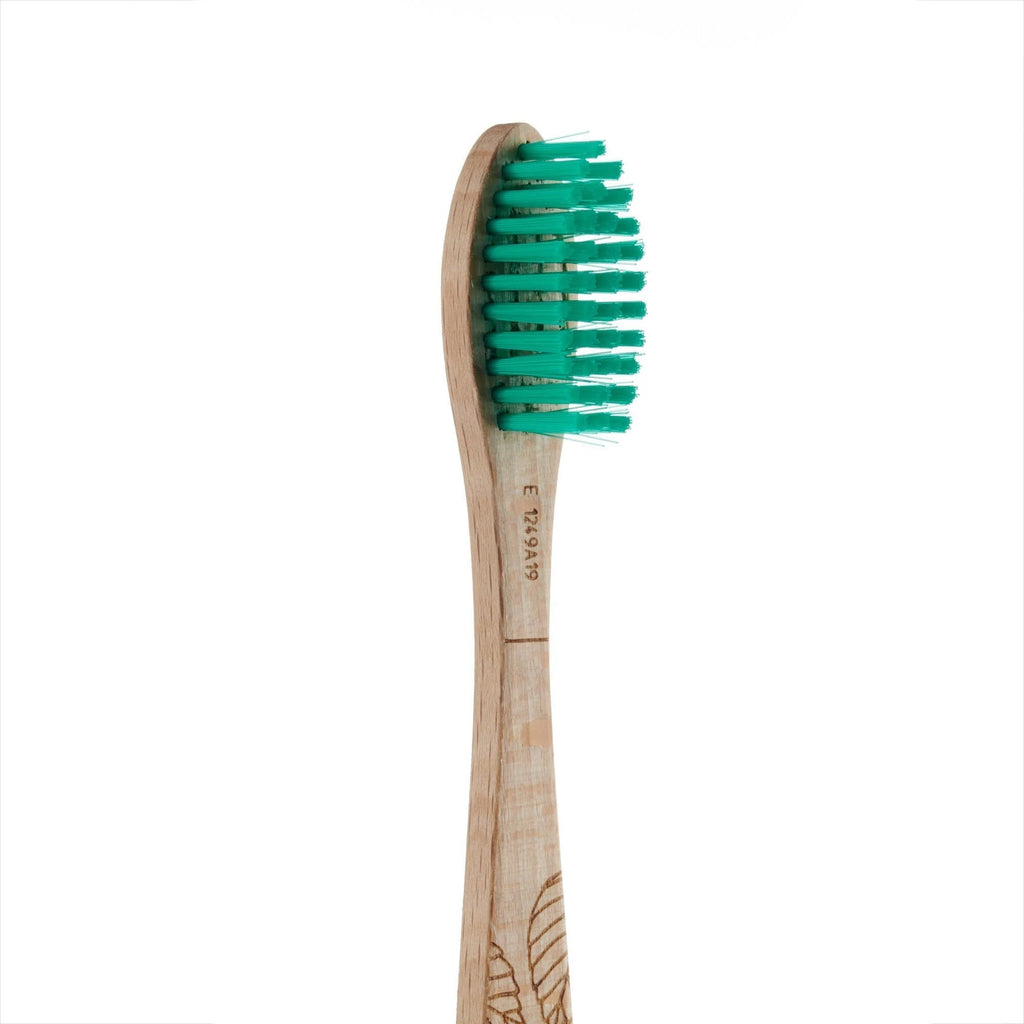 Georganics Sustainable Beechwood Toothbrush - Green Skye-